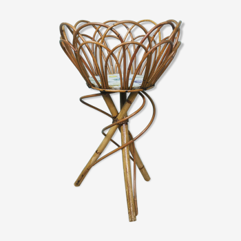 Rattan plant holder