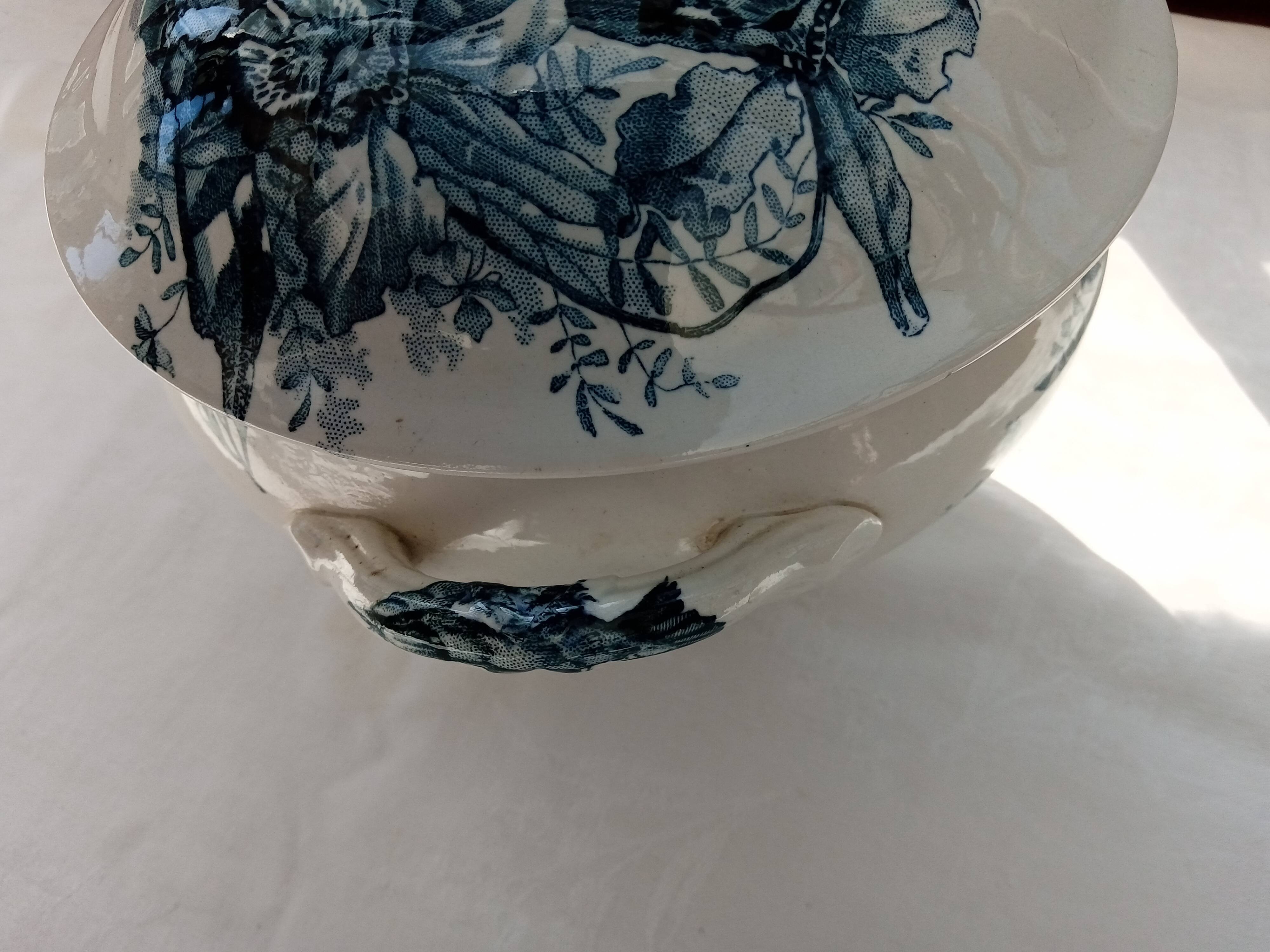 Tureen Iron Earth Orchids