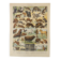 Antique print • Furbearing animals (1) • Original vintage poster from 1909