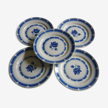 5 plates of vintage blue flowers