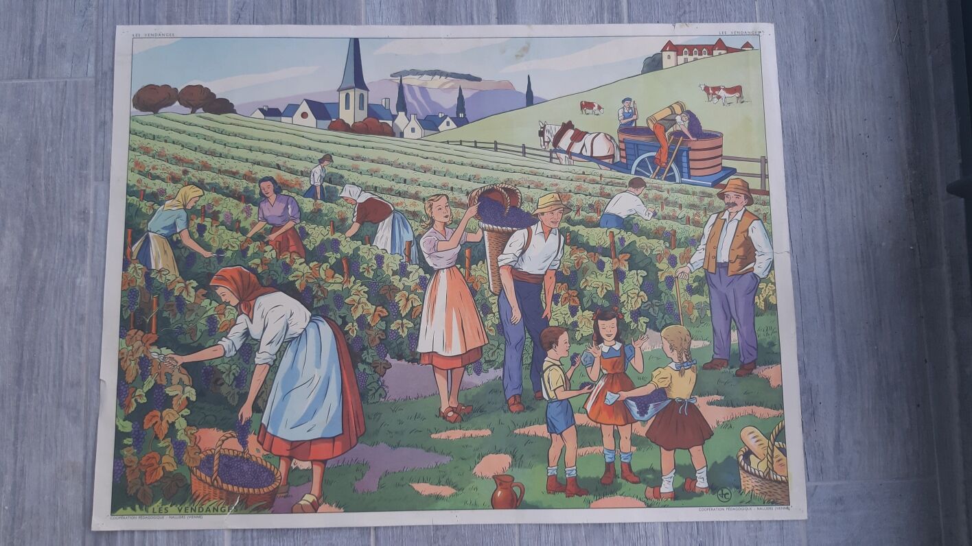 Rossignol school poster