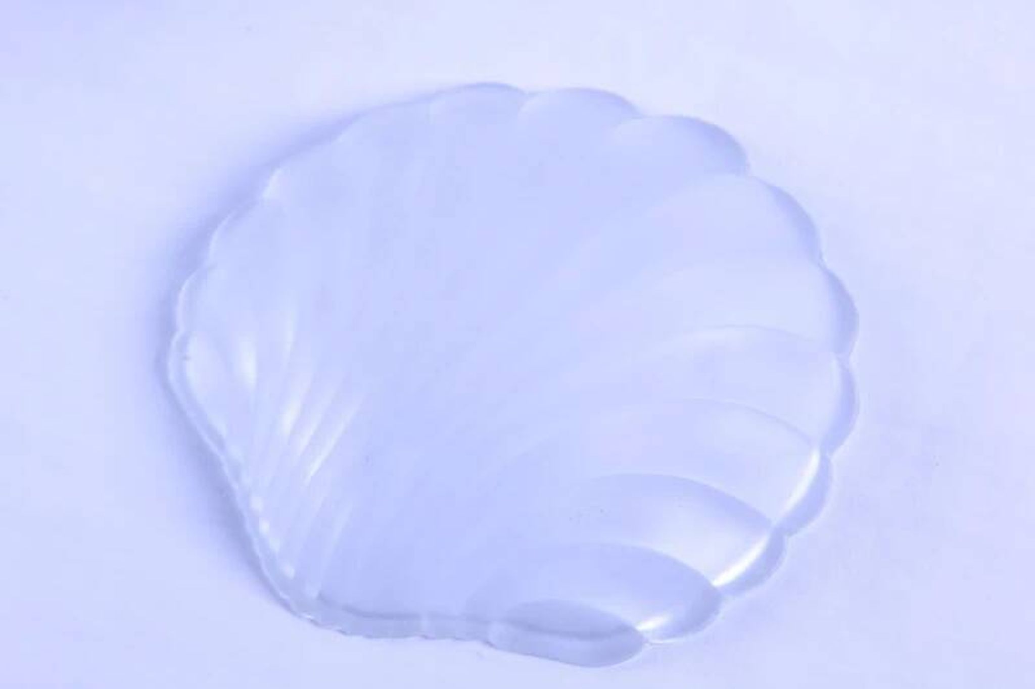 Vide-poche / beurrier coquillage ancien