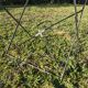 Antique round folding garden table with a green patina.