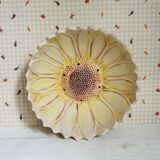 Salad bowl/slurry cup