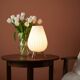 Tulip lamp