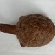 Accolay turtle, ceramic sculpture