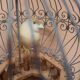 Cage à oiseaux