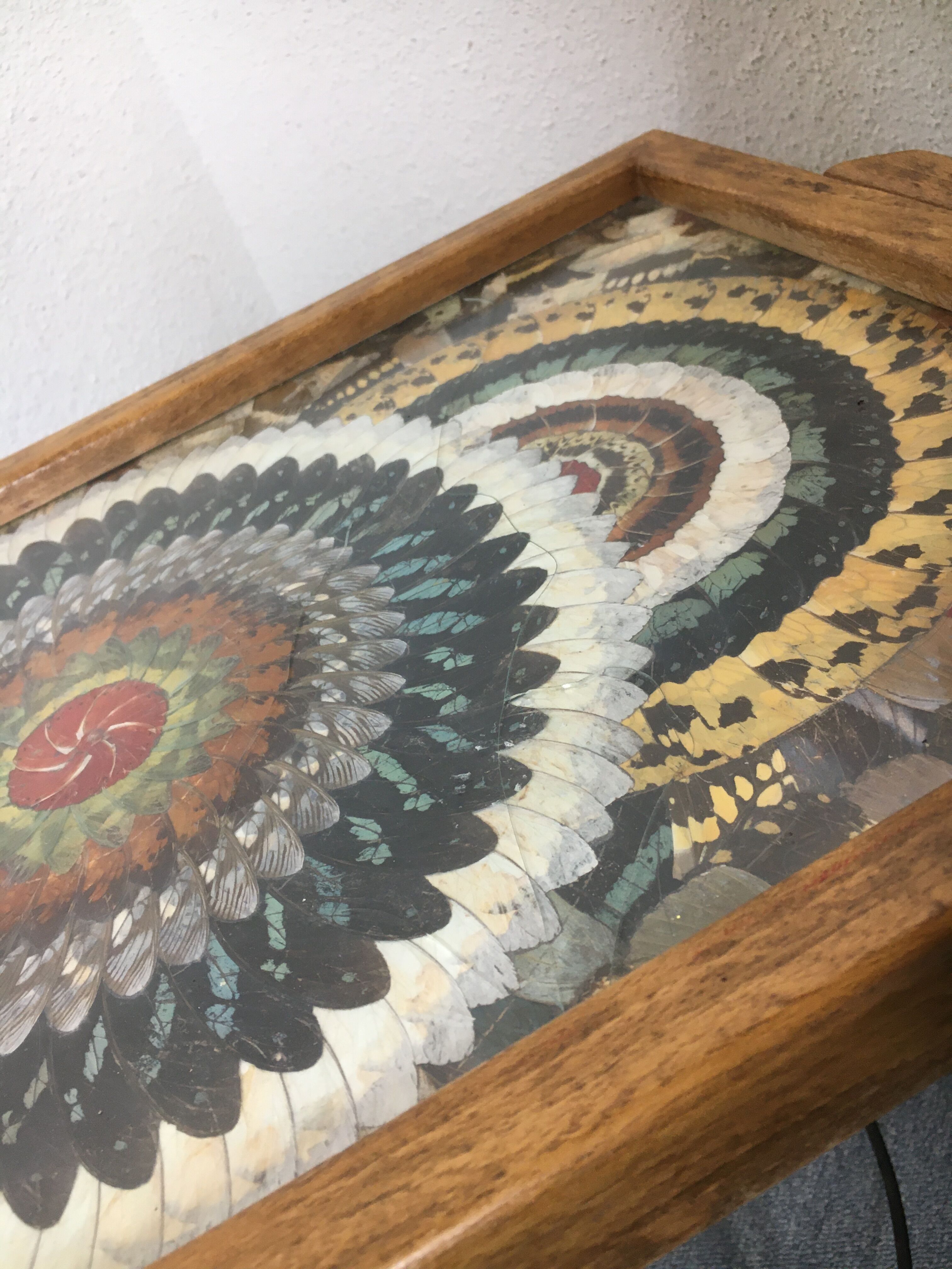 Craft butterfly wings service dish