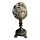 Cabinet of Curiosities cittarium pica shell on base