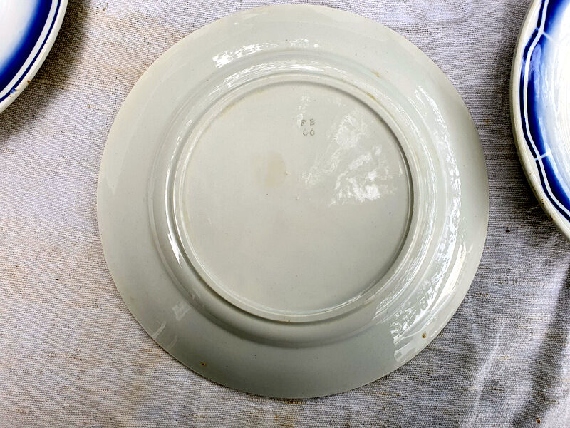 7 plates faience blue flowers