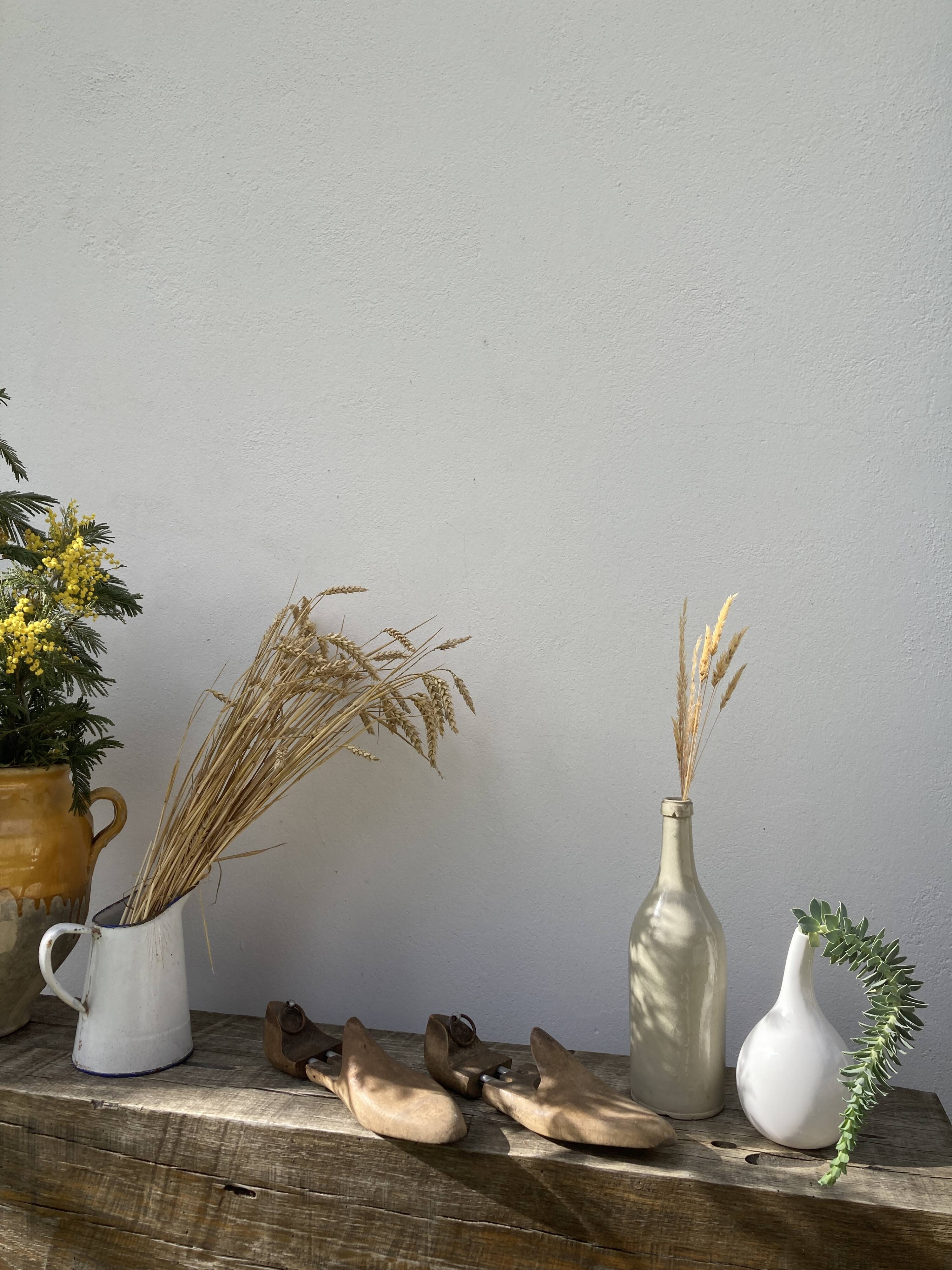 Old wooden shoe trees shapes vintage shoes