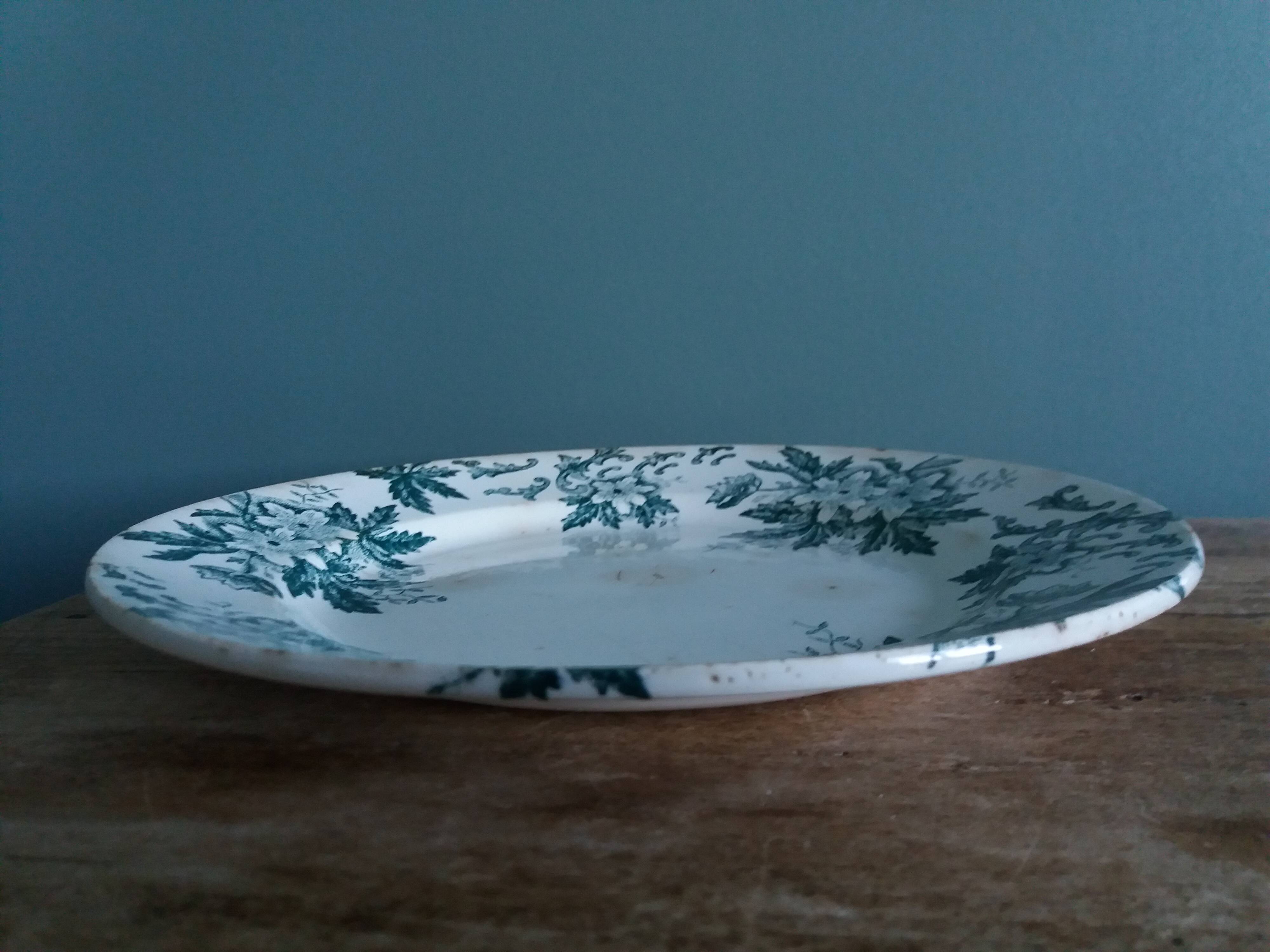 Saint-Amand ironstone dinner plate with anemone green decoration