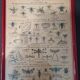Set of educational boards on Natural History "New Imagery"