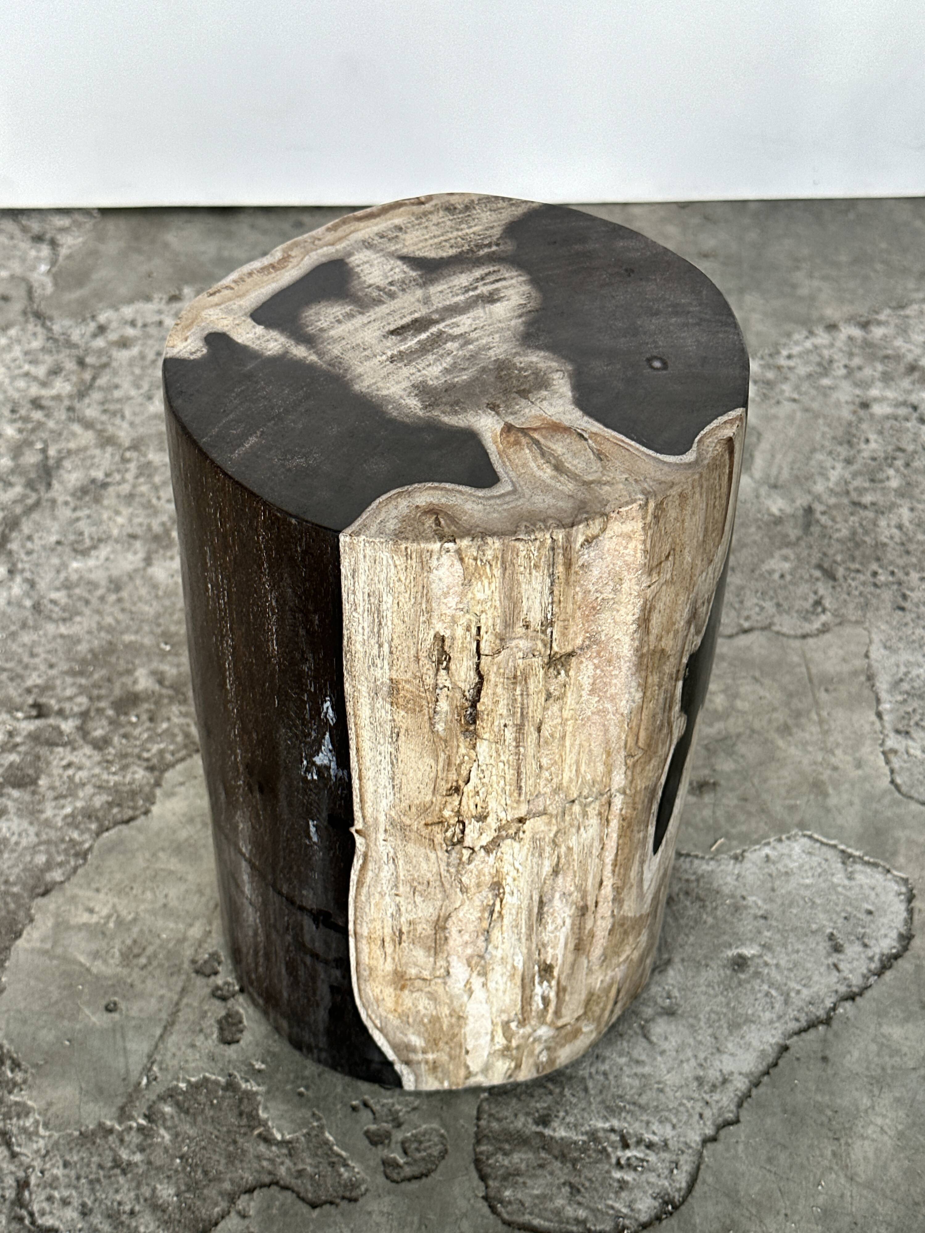 Small black, white and gray petrified wood side table H28cm D:18.5