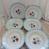 Lot 12 assiettes et plat Moulin des loups