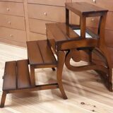 Notarial chair, luxurious library
