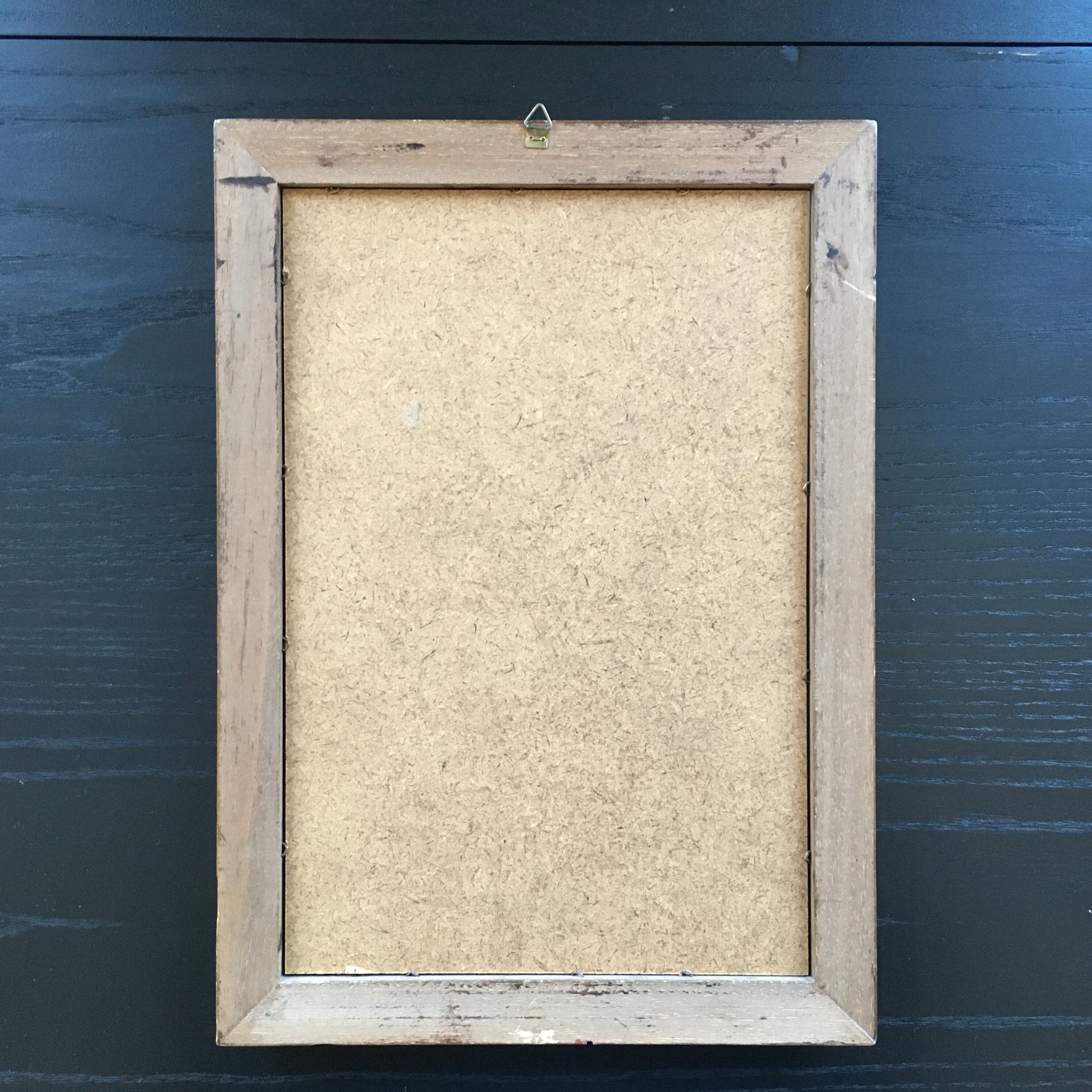 Owl ornithological board