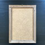 Owl ornithological board