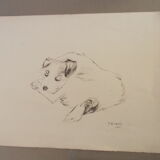 Drawing signed tauzin mario: regard chien au repos, black pencil original 1970s, charcoal