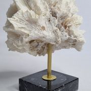 Old white coral on black veined marble base, 16 cm