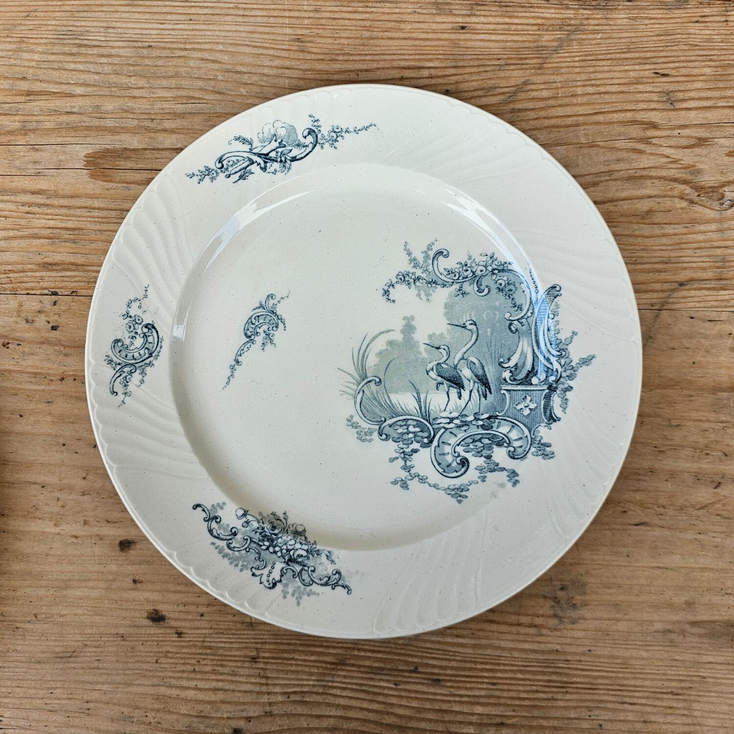 Lunéville “Rocailles” flat plates