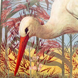 Displays educational Stork 1879