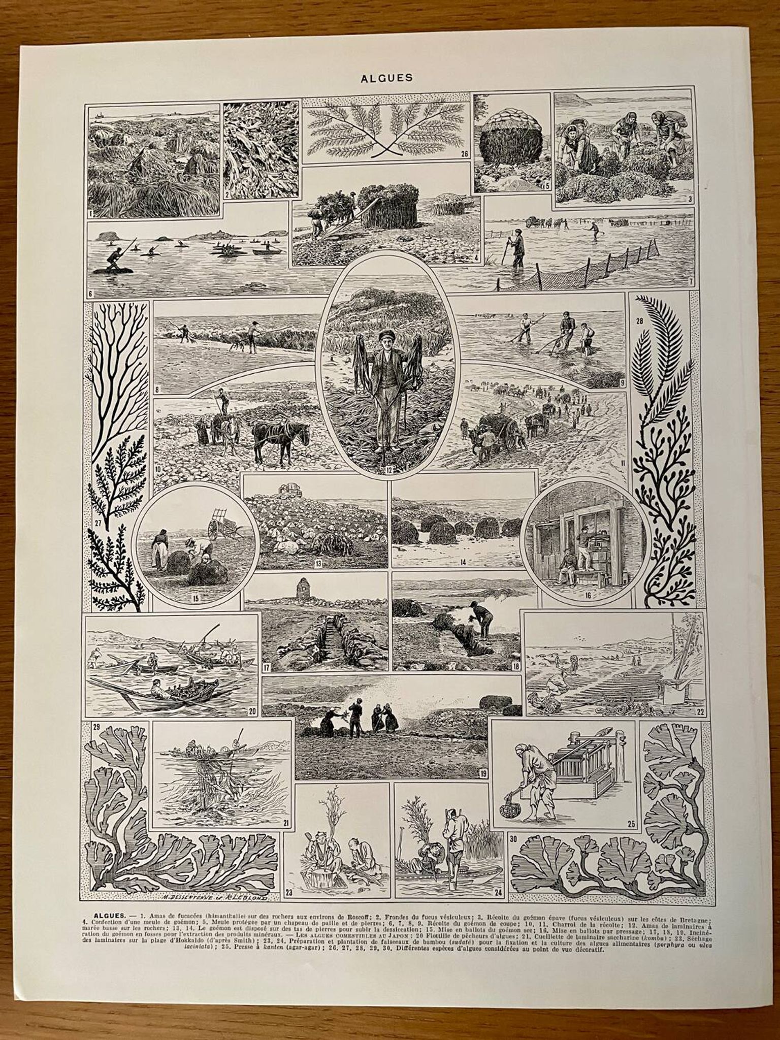 Reserved Marie-Axelle: Lot of 3 illustrated boards from the 20th century.