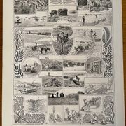 Reserved Marie-Axelle: Lot of 3 illustrated boards from the 20th century.