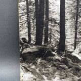 Film photography by Bernard Darot, Sun, Vosges Forest, Nantes Club