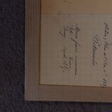 19th herbarium plank