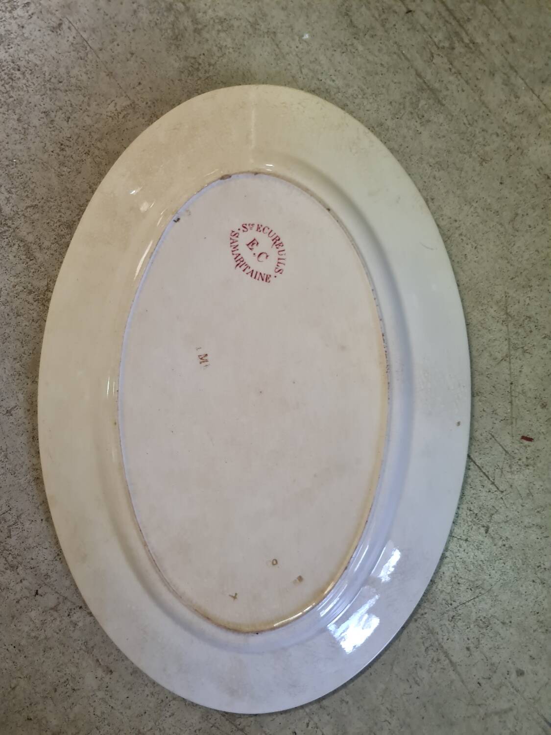 Samaritan squirrel model EC