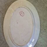 Samaritan squirrel model EC