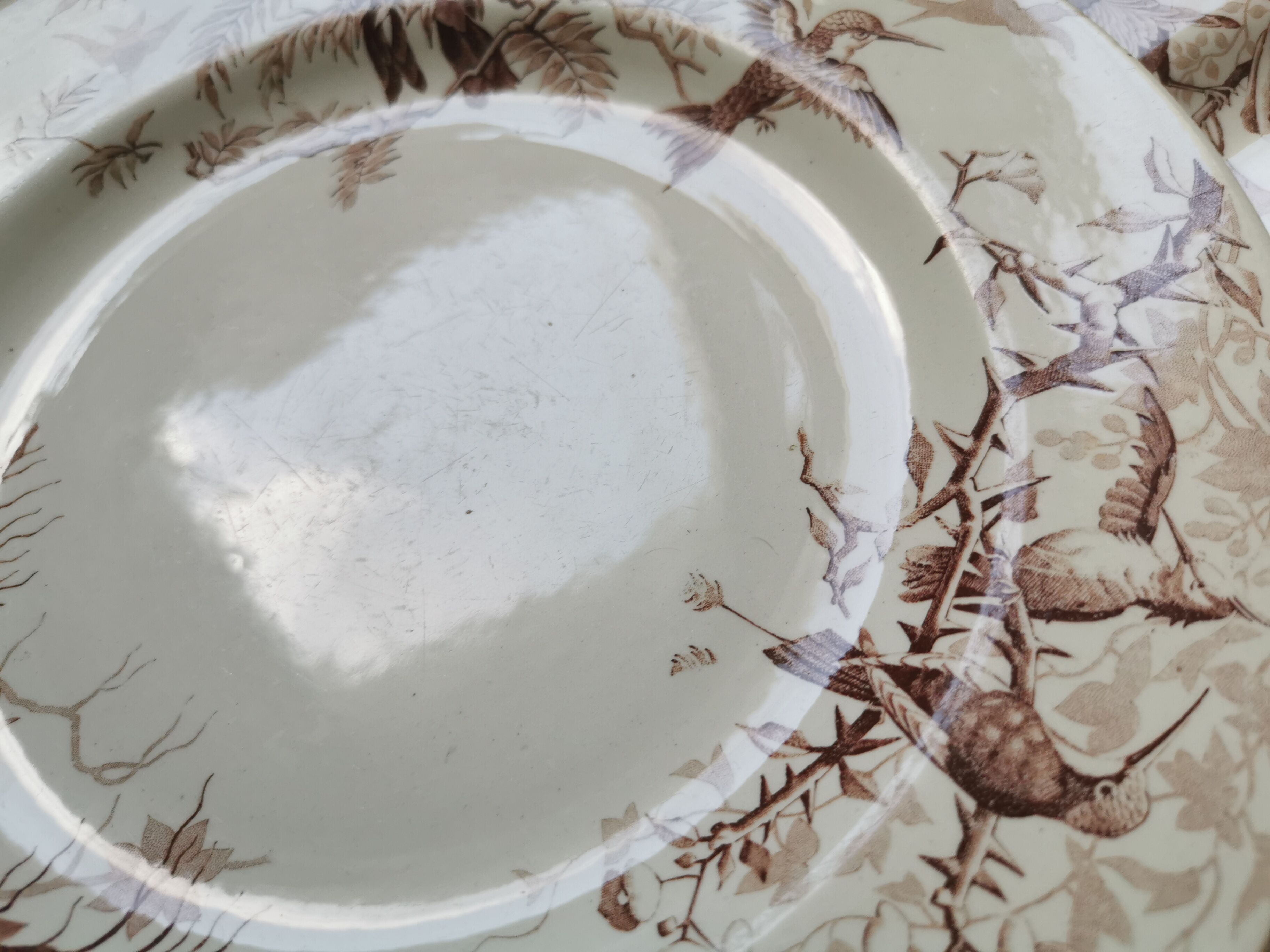 Lot of 8 Colibri luneville plates