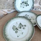 Pexonne dessert plate