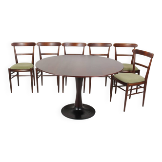 Restored Mid-Century Modern Dining Set, Czechoslovakia, 1960s, Set of 7