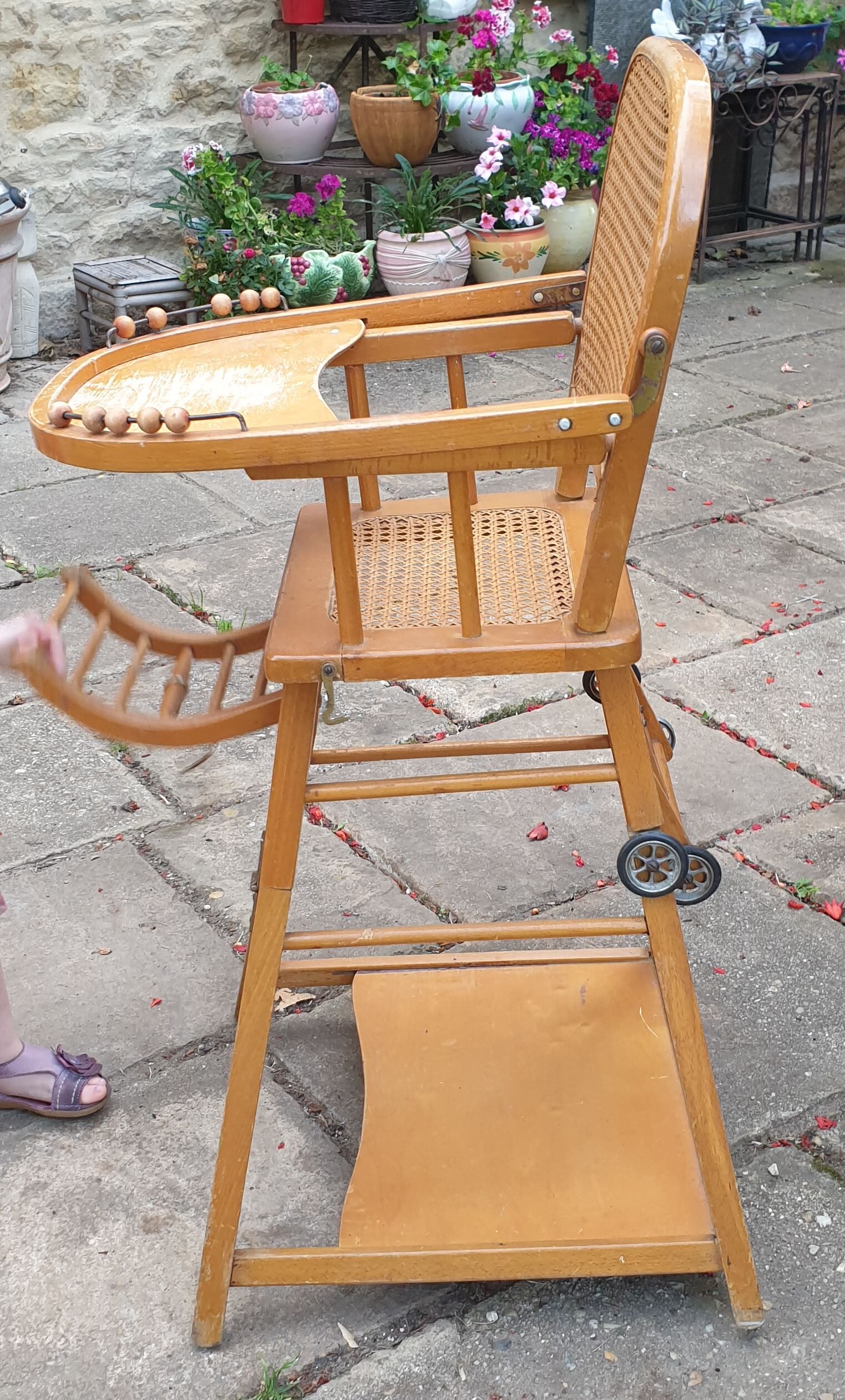 High canine chair convertible into wood