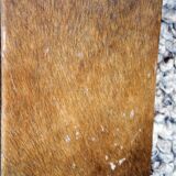 Cowhide mirror