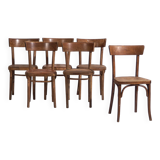 Chaises Thonet d’époque (c.1950). Ensemble de 6 pièces #1