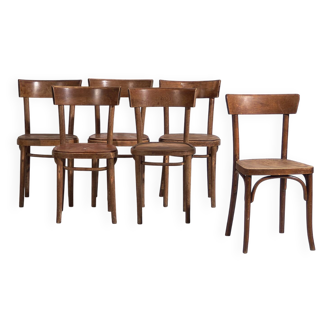 Chaises Thonet d’époque (c.1950). Ensemble de 6 pièces #1