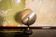 Lampe de table italienne orientable en aluminium, 1960
