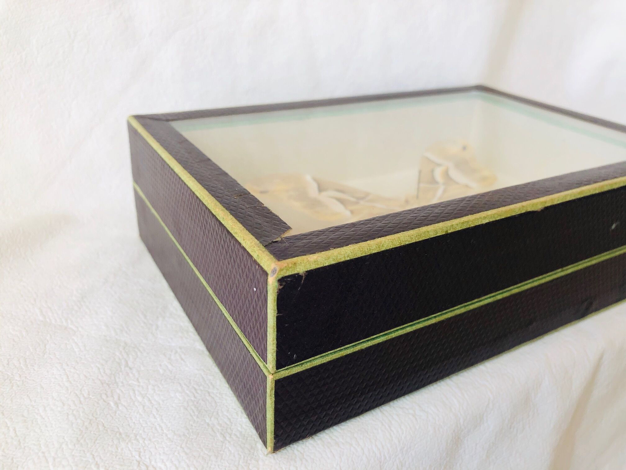 Naturalized butterfly frame