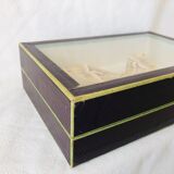 Naturalized butterfly frame