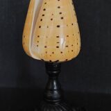 Cabinet of Curiosities conus betulinus shell on base