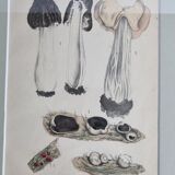 Deux anciennes gravures de champignons aquarellées XIXème siècle d'après G. Bernard