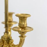 Eugène Bazart Paris. Gilded bronze hot water bottle lamp. Circa 1880.