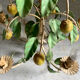 Painted metal chandelier