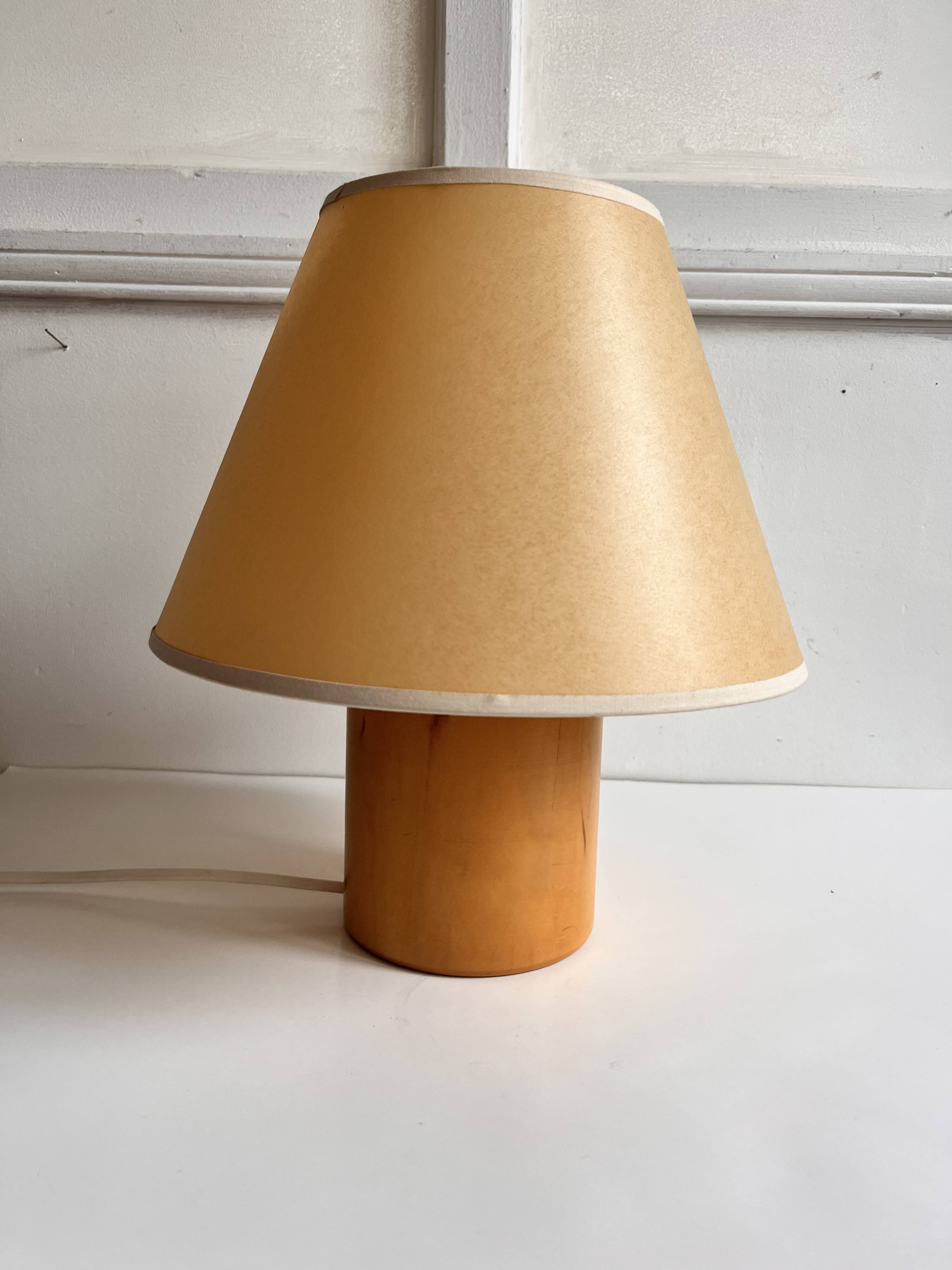 Lamp pin 1970