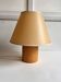 Lamp pin 1970