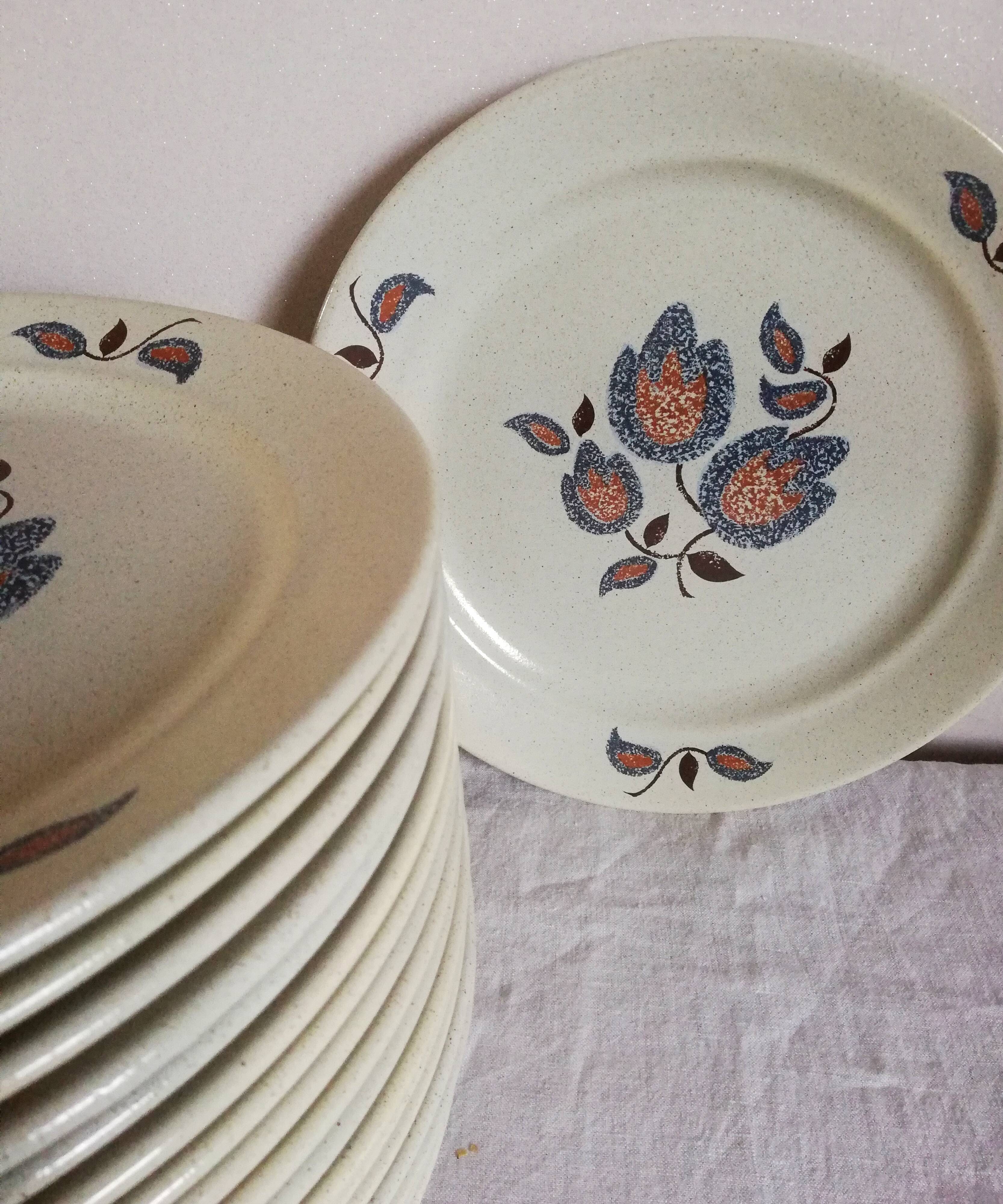 Serving 20 flat plates Sologne de Saint Amand