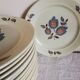 Serving 20 flat plates Sologne de Saint Amand